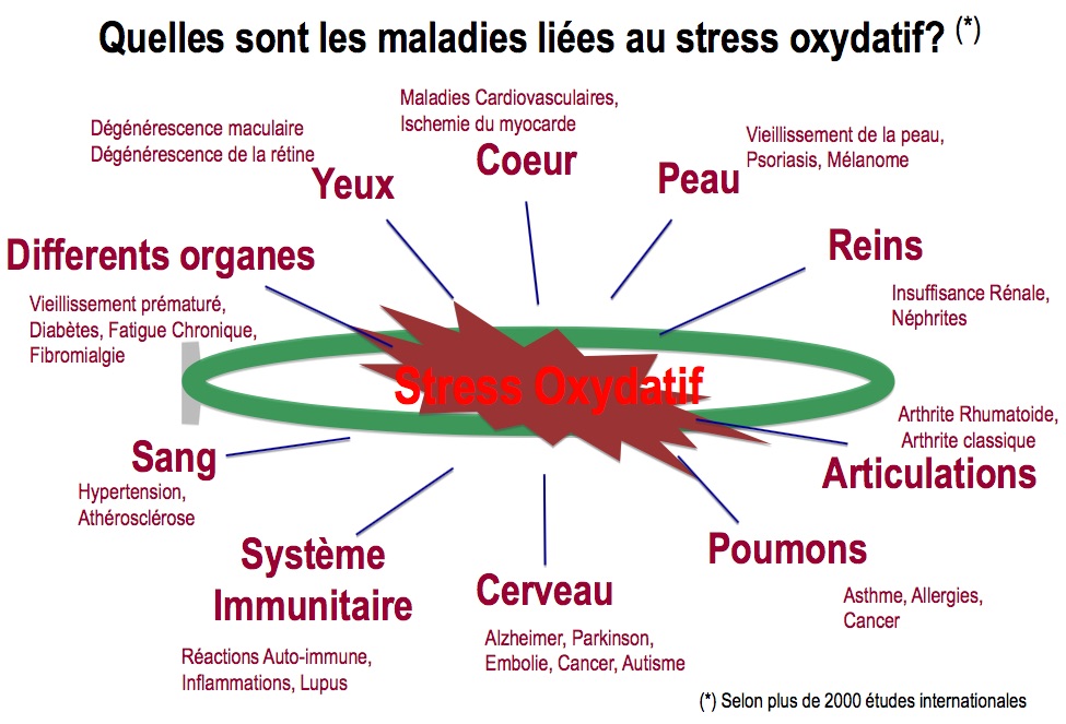 11A80F86-F5EE-4F54-90C2-E3F61D99A330